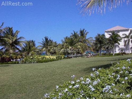 Ritz-Carlton Golf & Spa Resort 34